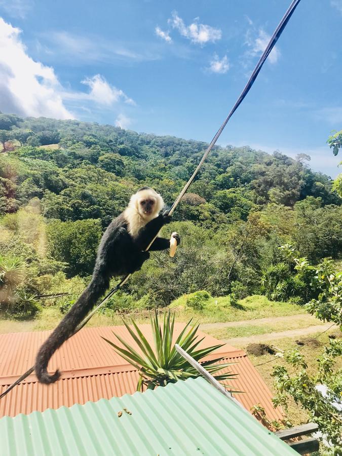 Que Tuanis Hostel Monteverde Bagian luar foto