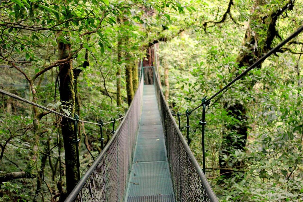 Que Tuanis Hostel Monteverde Bagian luar foto