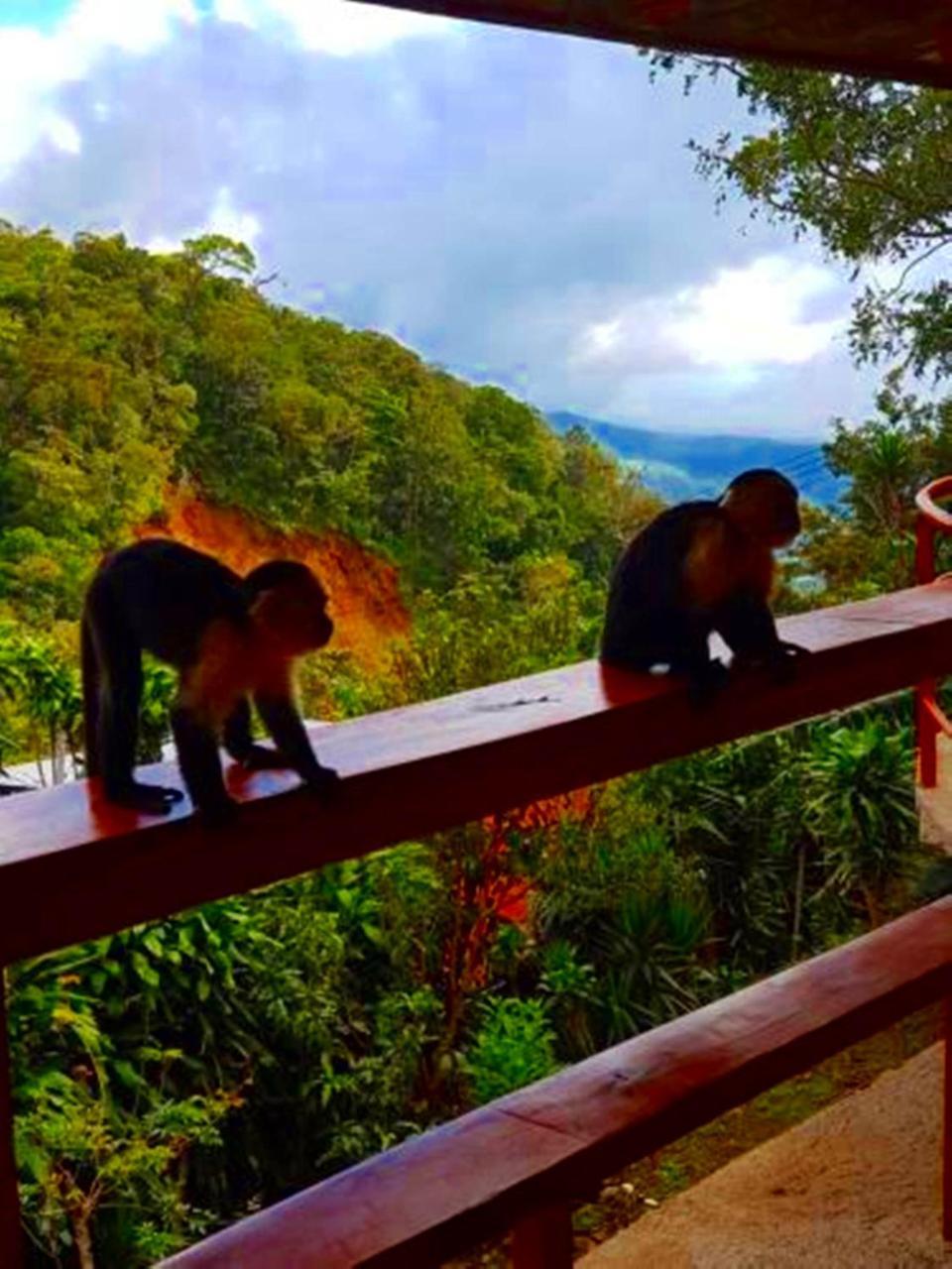 Que Tuanis Hostel Monteverde Bagian luar foto